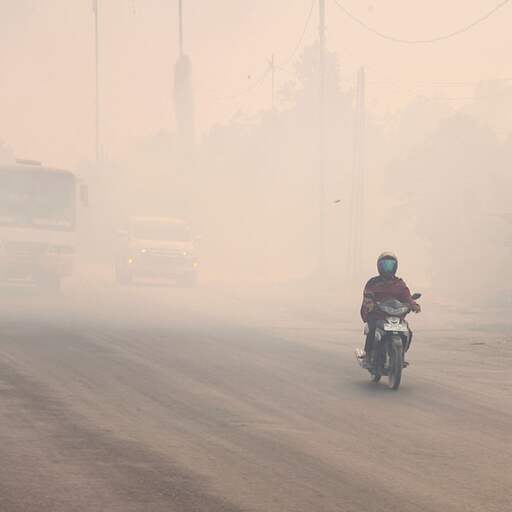 Illustratie bij: Ruim 170.000 Indonesiërs met ademhalingsproblemen door smog bosbranden