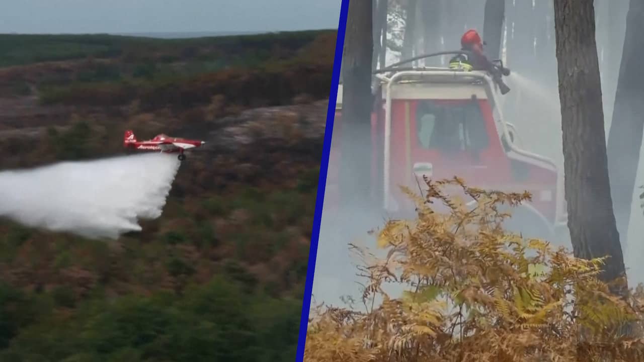 Franse brandweer bezig met laatste loodjes bestrijding verwoestende bosbrand