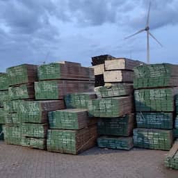 375 ton 'fout' hout in beslag genomen vanwege mogelijk illegale kap