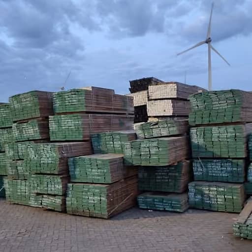 Illustratie bij: 375 ton 'fout' hout in beslag genomen vanwege mogelijk illegale kap