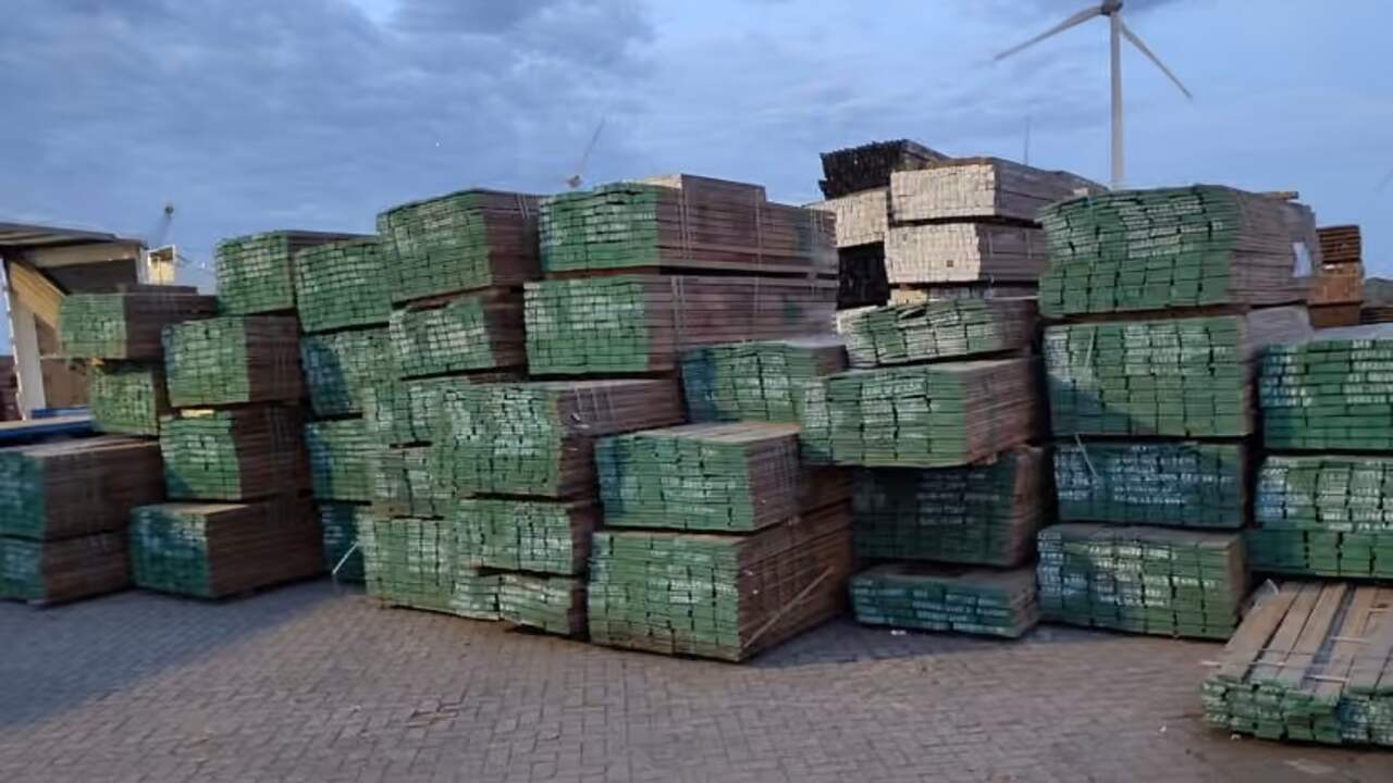 Foto bij 375 ton 'fout' hout in beslag genomen vanwege mogelijk illegale kap