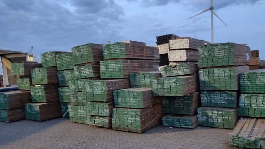 375 ton 'fout' hout in beslag genomen vanwege mogelijk illegale kap