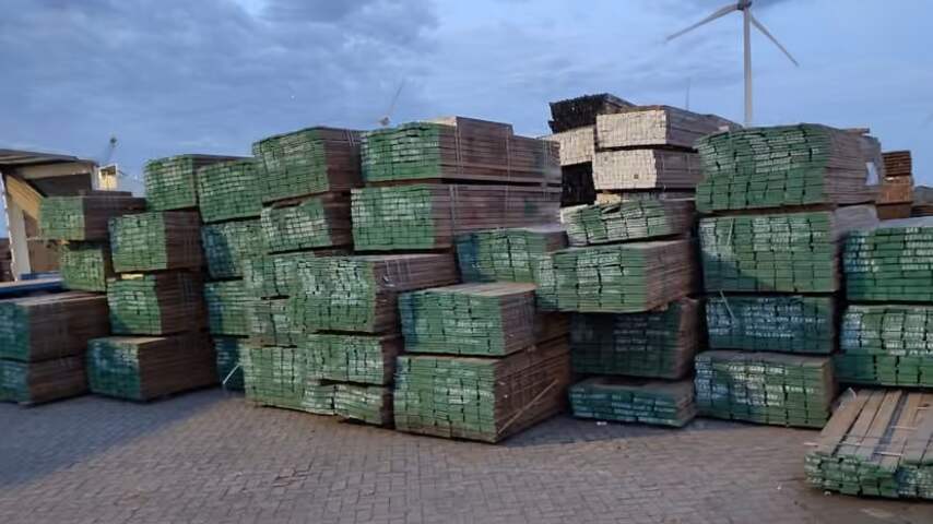 Foto bij 375 ton 'fout' hout in beslag genomen vanwege mogelijk illegale kap