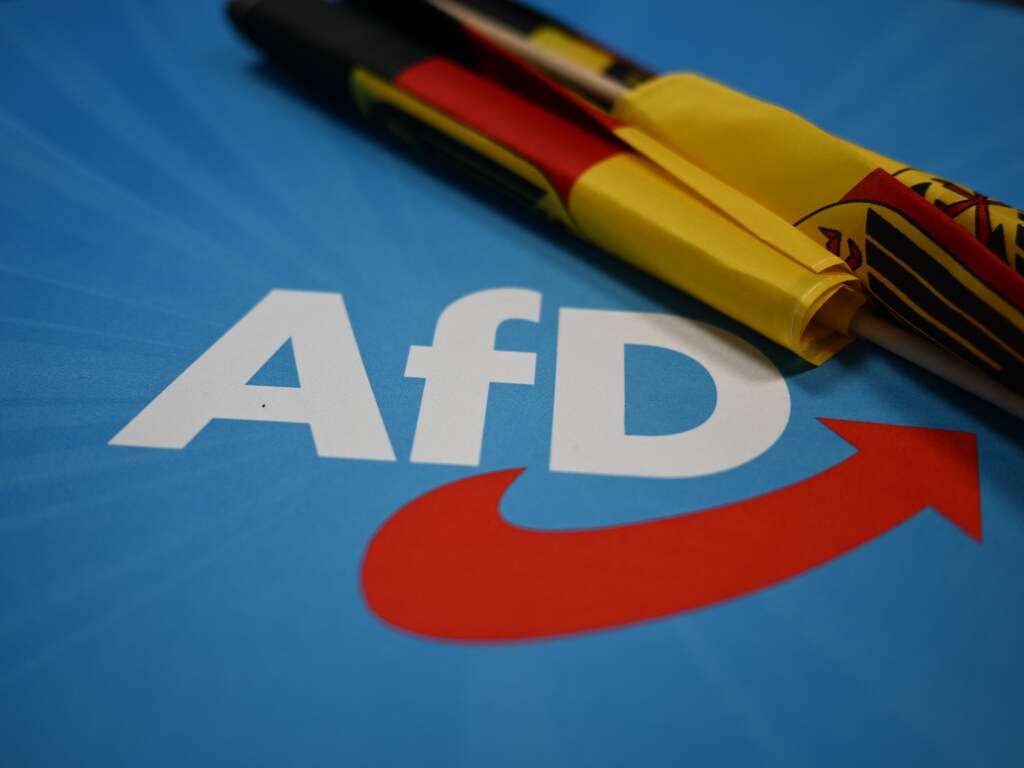 Duitse partij AfD breekt met controversiële jeugdafdeling en richt nieuwe op