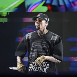 Chris Brown moet voormalige huishoudster 13 miljoen betalen na hondenaanval