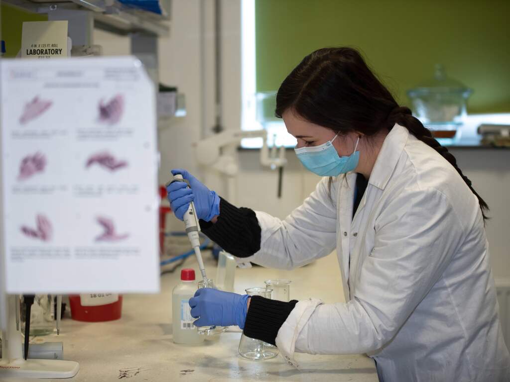 Gezondheidsraad: Novavax geschikt voor mensen die geen mRNA-vaccin willen