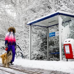 In jaren niet zo veel sneeuw gevallen, witte laag blijft voorlopig liggen