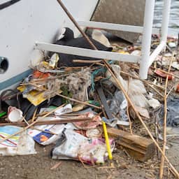 Van Veluwe tot hartje Amsterdam: vogels gebruiken steeds meer plastic in nesten