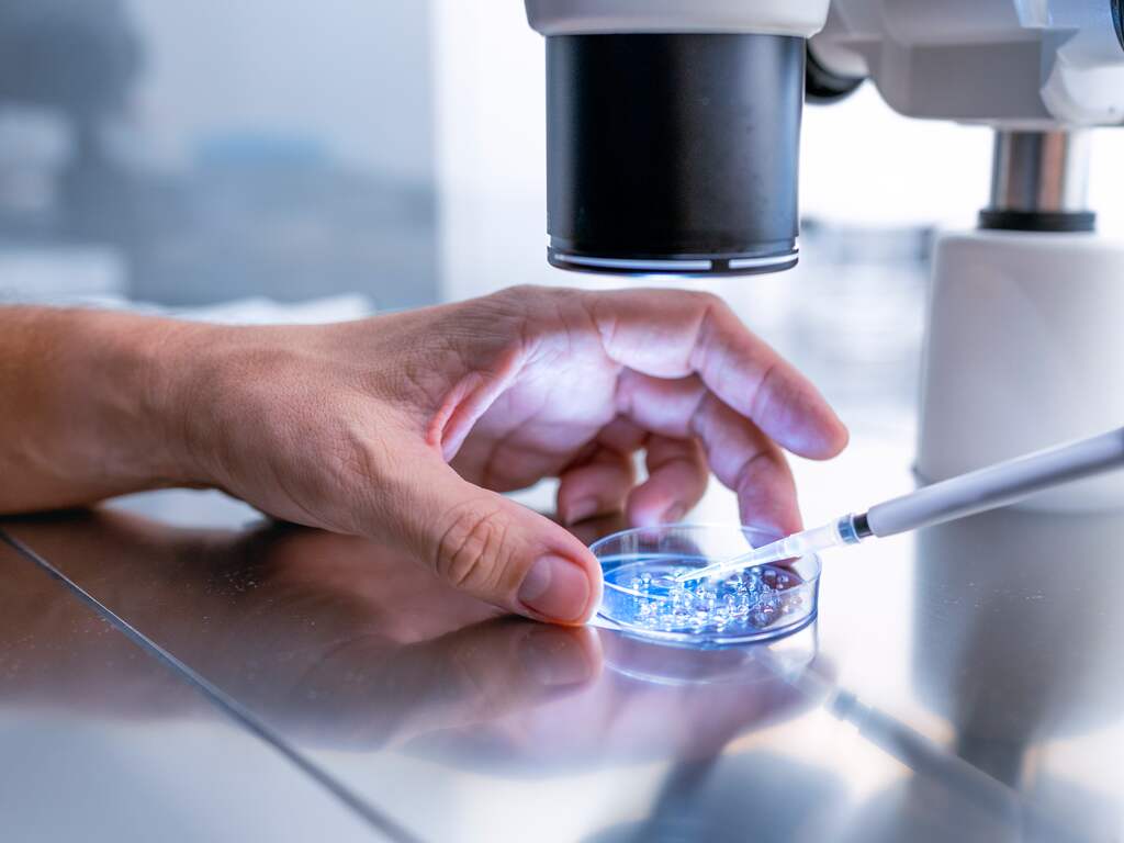 Belgische arts verwekte kinderen met sperma dat was bedoeld voor onderzoek