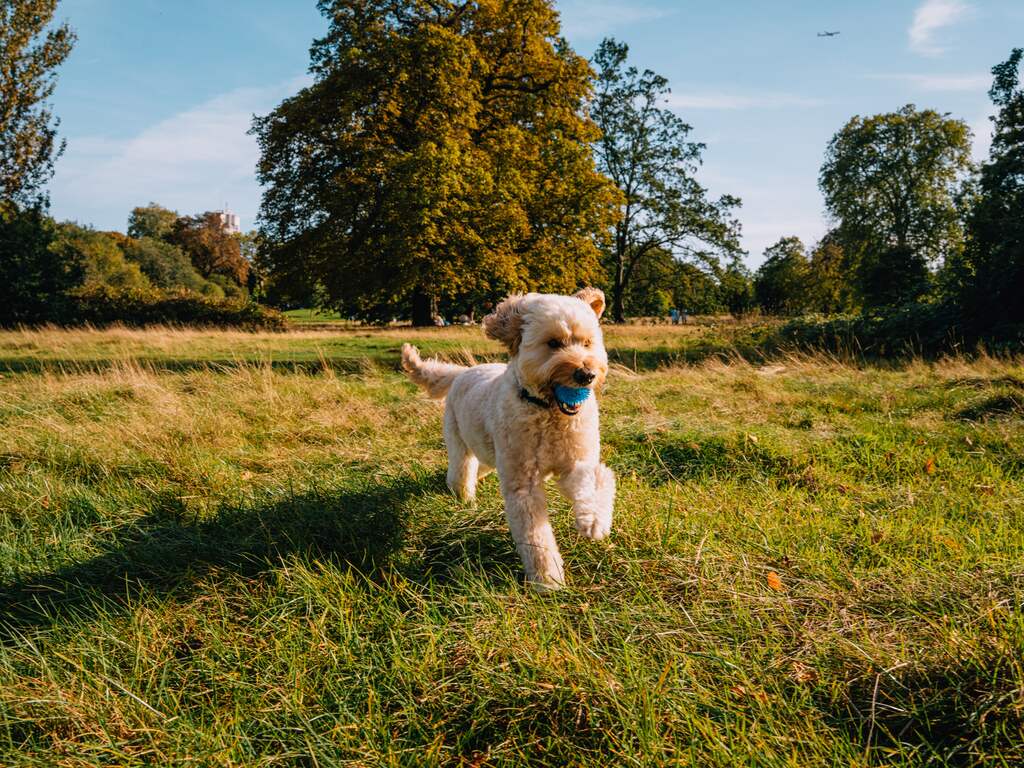 Weerbericht | Zonnige herfstdag met alleen 's avonds kans op een beetje regen