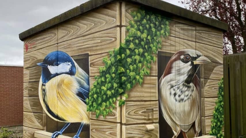 Nederland krijgt tien stroomhuisjes per dag erbij en ze worden steeds blitser