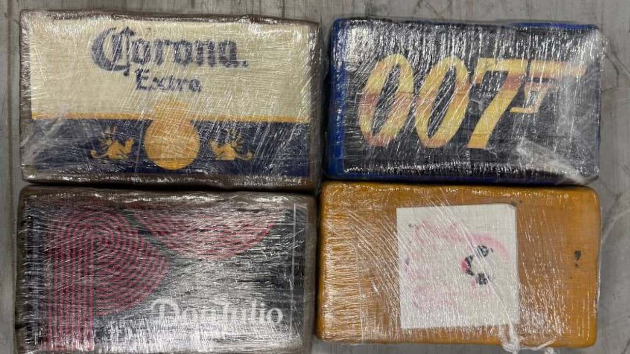 Douane vindt honderden kilo's cocaïne tussen mango's onderweg naar Moerdijk