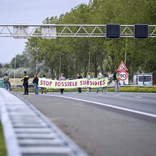 Illustratie bij: ME haalt demonstranten XR van de weg na blokkade A12 bij Zevenaar