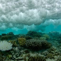 El Niño is terug: recordtemperaturen in zee gemeten
