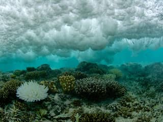 El Niño is terug: recordtemperaturen in zee gemeten