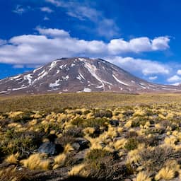 Inca-mummies zijn eerste DNA-bewijs dat Europeanen pokken naar Amerika brachten