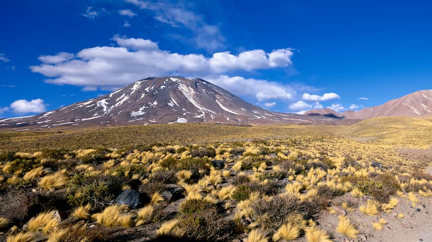 Inca-mummies eerste DNA-bewijs dat Europeanen pokken naar Amerika brachten