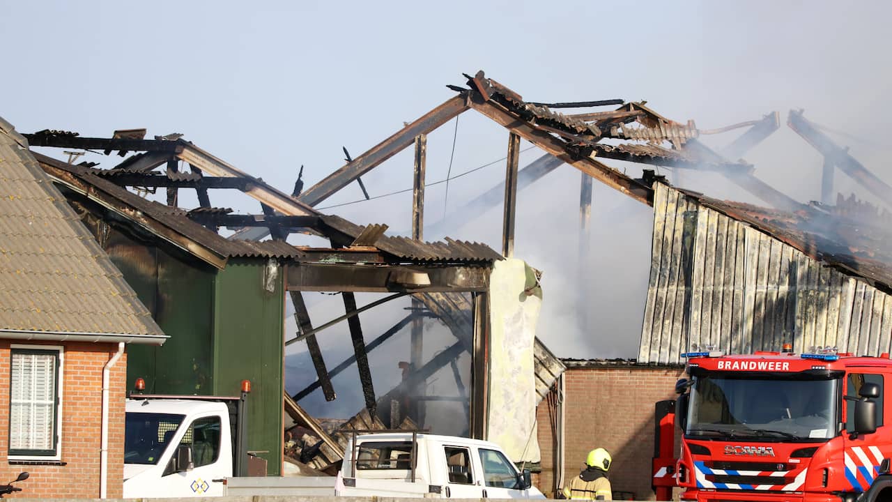 Aantal stalbranden blijft hoog: ruim 60.000 dieren dood in een jaar