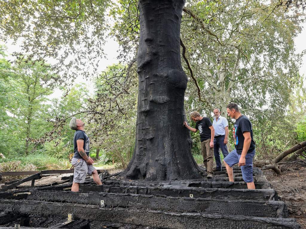 Politie arresteert drie verdachten van in brand steken monumentale boom