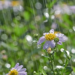 Woensdag valt er (eindelijk) meer regen: 'Maar is een druppel op gloeiende plaat'