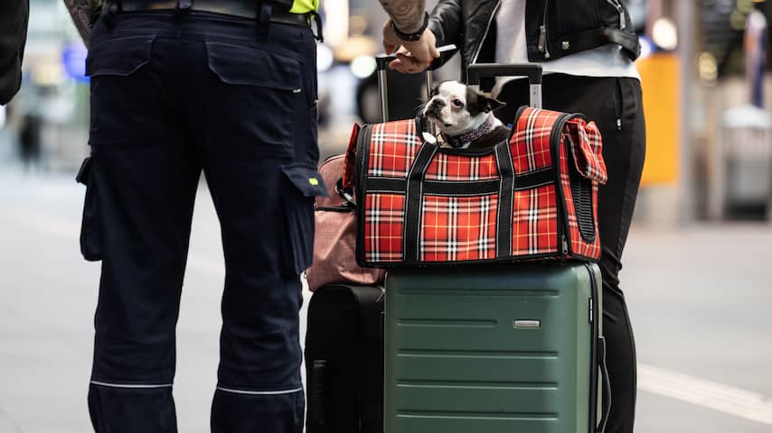 NS past huisregels aan: tassen mogen zitplaatsen niet onnodig bezethouden