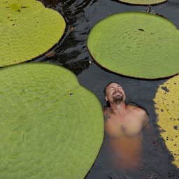 Nieuwe reuzenwaterleliesoort ontdekt in Colombia dankzij Instagram-post