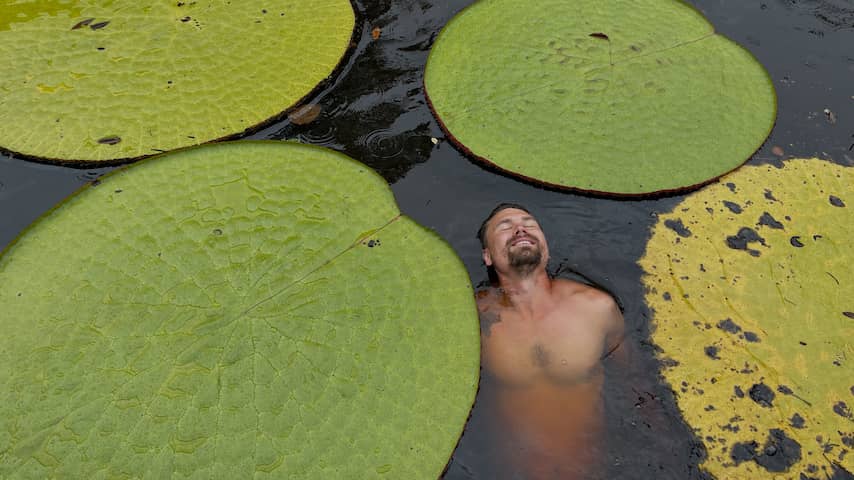 Nieuwe reuzenwaterleliesoort ontdekt in Colombia dankzij Instagram-post