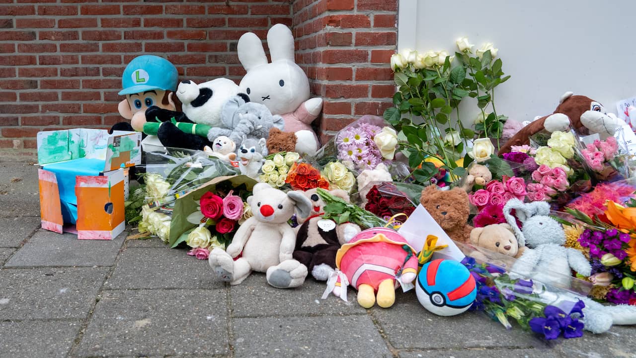 Geen derde partij betrokken bij dood moeder (29) en dochter (5) Terneuzen