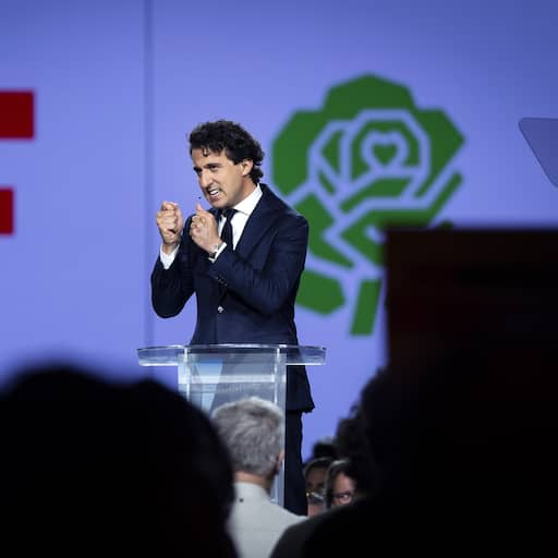 Illustratie bij: Toch kleur bekennen: gaat PRO in Europa naar koepel GroenLinks of PvdA?