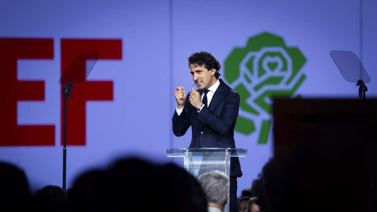Foto bij Toch kleur bekennen: gaat PRO in Europa naar koepel GroenLinks of PvdA?