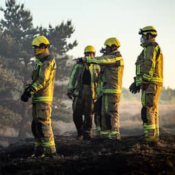 Verbrand gebied België zeer snel verdubbeld: 'Ergste brand in onze geschiedenis'