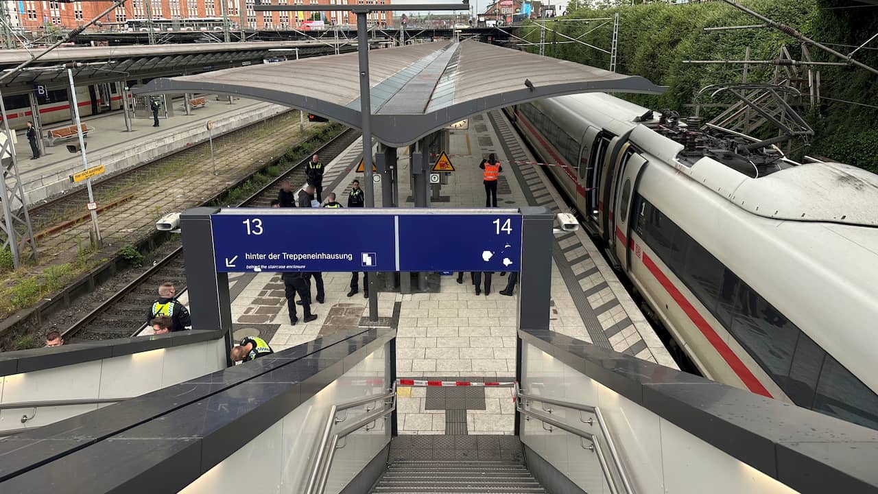 Twaalf gewonden bij steekpartij op station Hamburg, zeker drie in levensgevaar | Buitenland | NU.nl