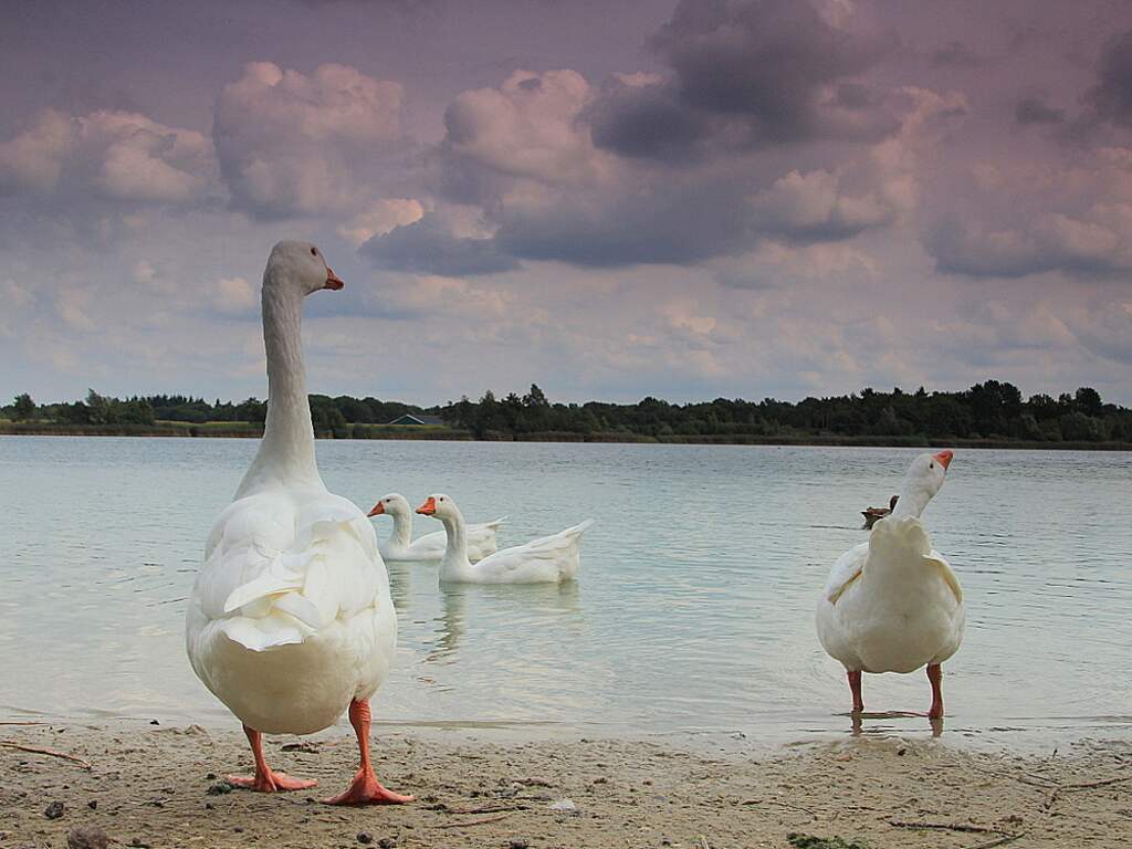 na zonnige start komen maandagmiddag de wolken weer