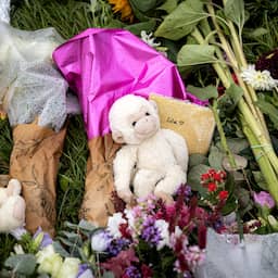 Familie Lisa 'diep geraakt' doordat 1.700 politiemensen onnodig in dossier keken