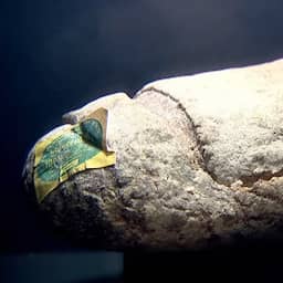 36 jaar oud DDR-brood krijgt plek in Berlijns museum: 'Weggooien was uitgesloten'