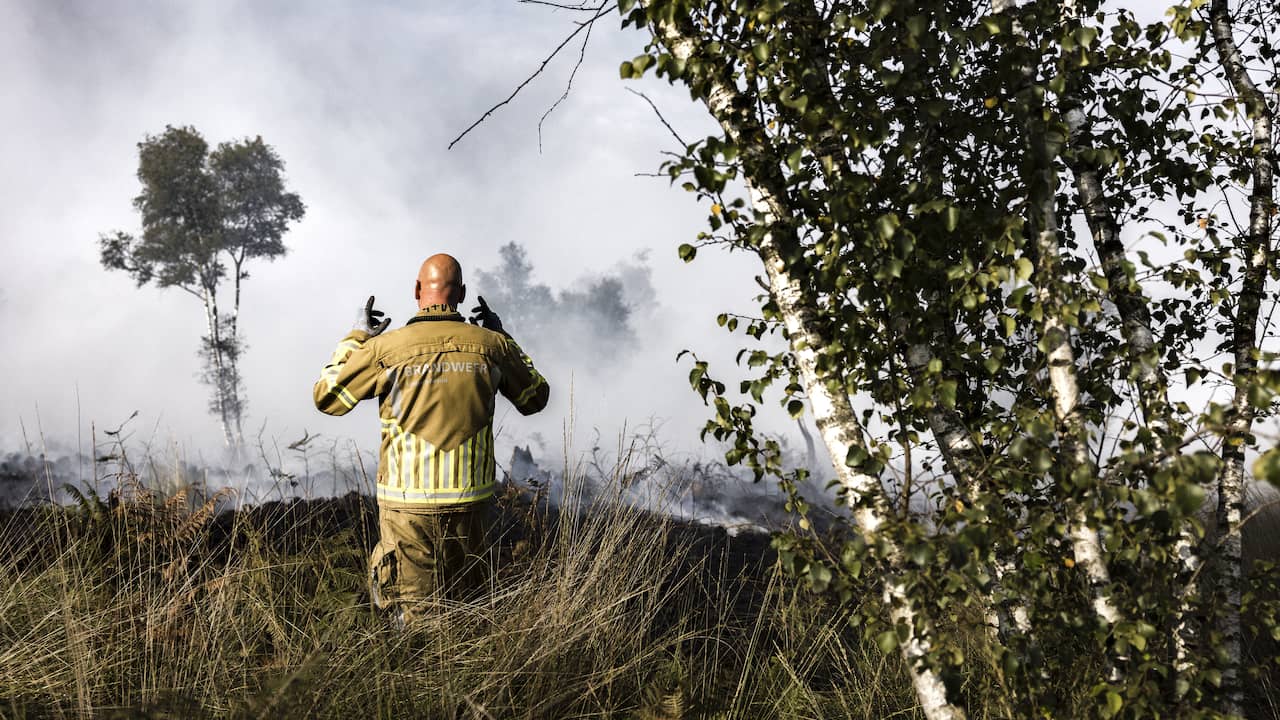 Noodverordening in Limburgs natuurgebied de Peel wegens grote natuurbrand | Binnenland