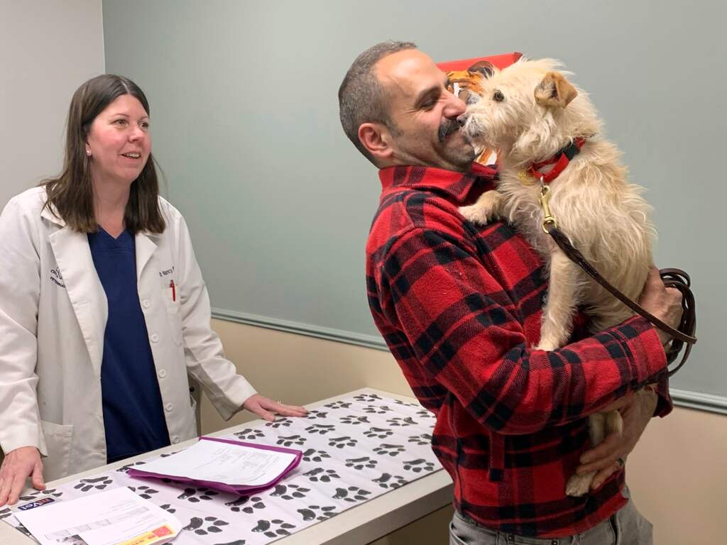 Vermiste hond is na half jaar 3.000 kilometer verderop in VS teruggevonden
