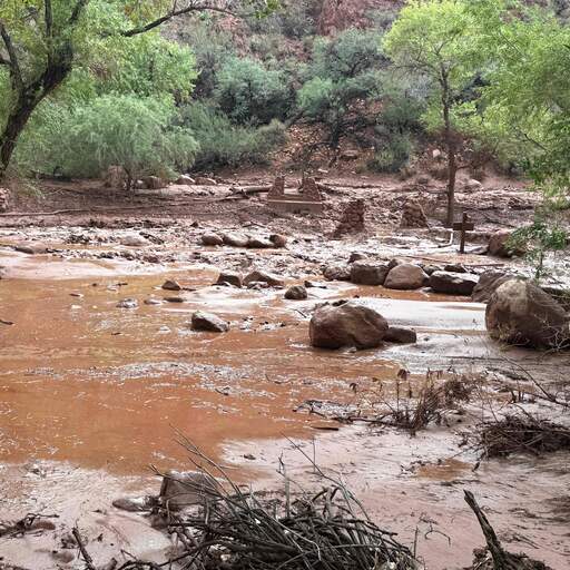 Illustratie bij: Zeker een dode en vijftien vermisten door overstromingen Grand Canyon in VS