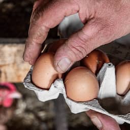 NU+ | Kan pfas in bloed verminderen? 'Dan moet je van pfas af'