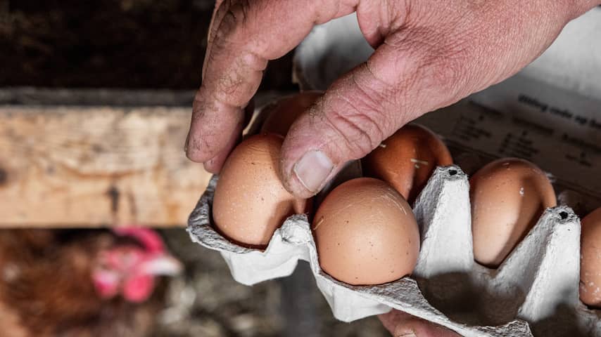 Kan pfas in bloed verminderen? 'Dan moet je van pfas af' | Algemeen | NU.nl