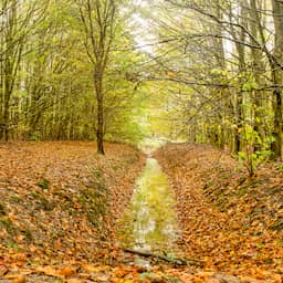 Droogtemaatregelen nemen af, maar herstel grondwaterstand duurt nog jaren
