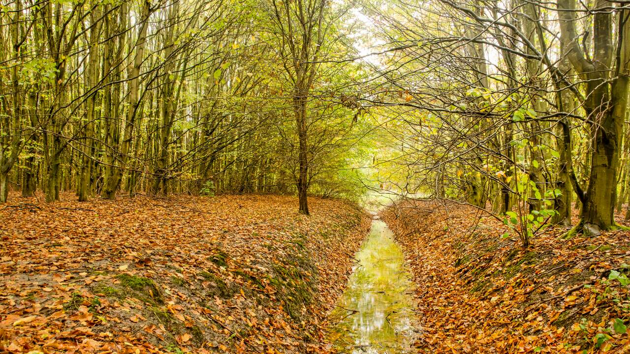 Foto bij Droogtemaatregelen nemen af, maar herstel grondwaterstand duurt nog jaren
