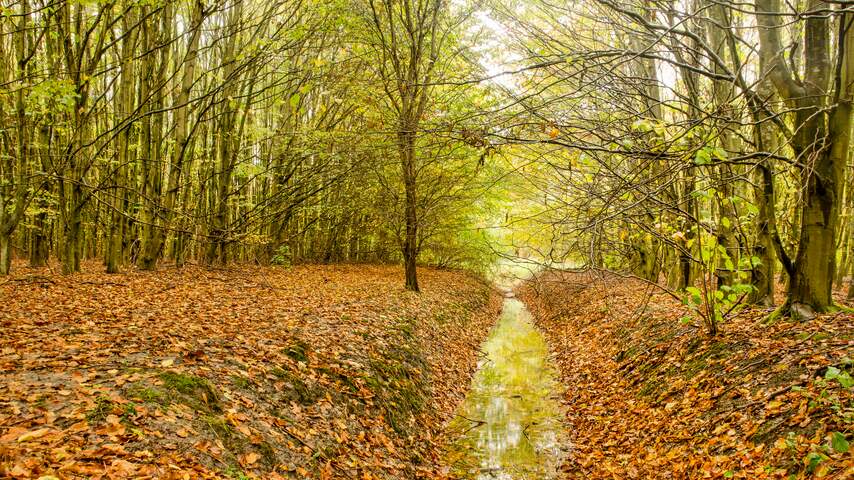 Foto bij Droogtemaatregelen nemen af, maar herstel grondwaterstand duurt nog jaren