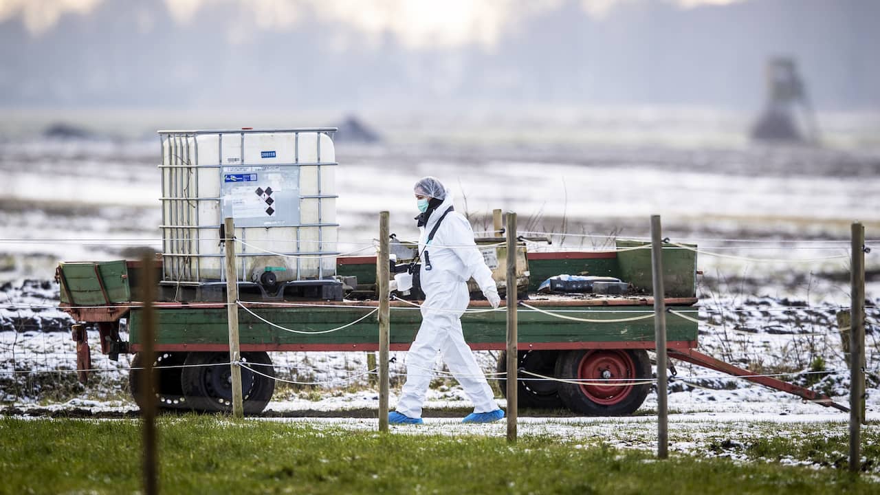 Ruzie met dodelijke afloop in Weiteveen startte al kort na woningverkoop