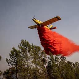 Honderden evacuaties vanwege Spaanse natuurbrand die oprukt naar Sevilla