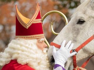 Voormalig paard van Sinterklaas overleden: 'Drie jaar van pensioen genoten'