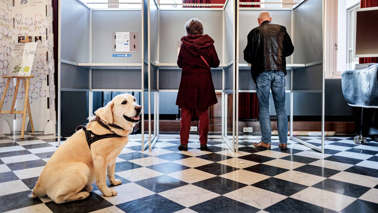 Volmachten zijn kwetsbaar, maar zo fout als in Gorinchem gaat het zelden
