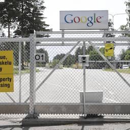 Google in problemen in Finland na mogelijk illegale kap van 250.000 bomen