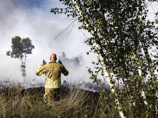 Groot risico op natuurbranden door het hele land: 'Dit gaan we vaker zien'