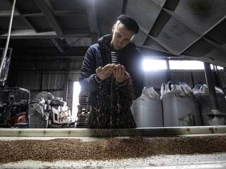 Rusland trekt zich terug uit de graandeal: wat betekent dat?